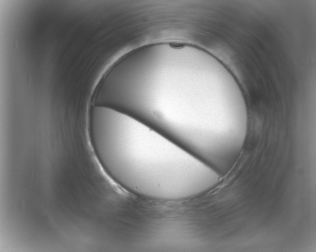 X0000070361006200606090755