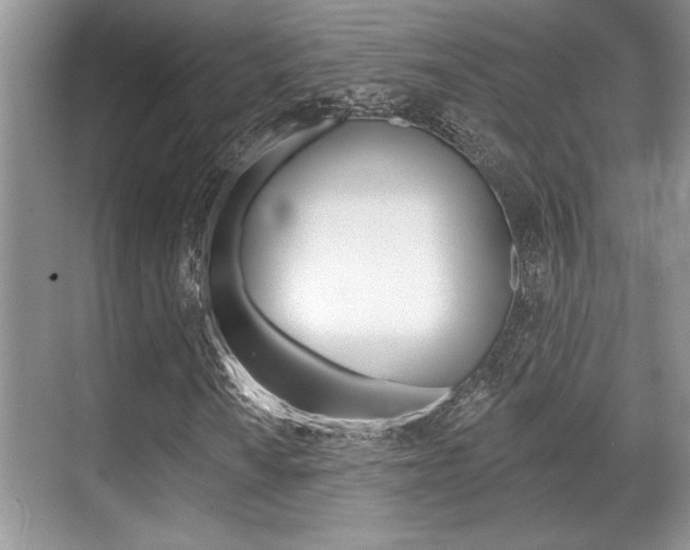 X0000070361010200606090754