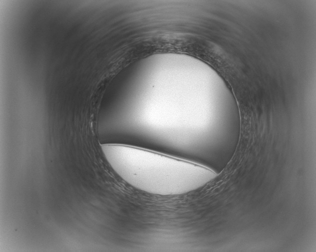 X0000070361013200606090754