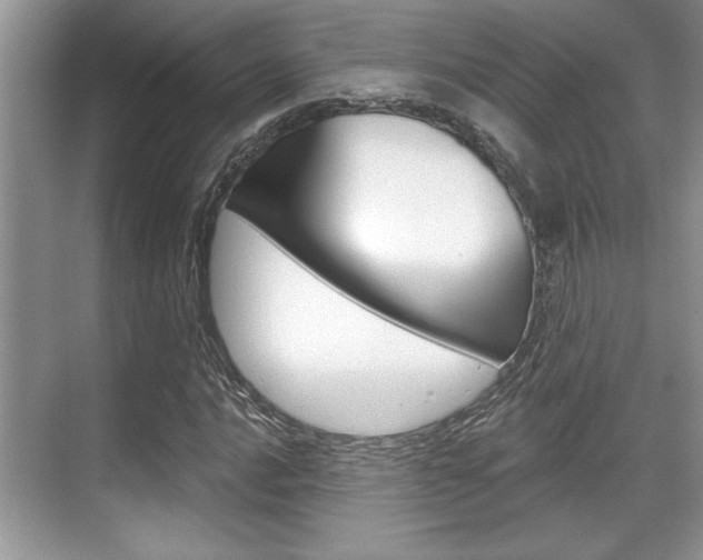 X0000070361016200606090754