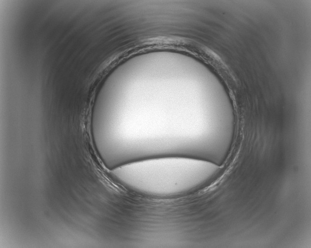 X0000070361017200606090754