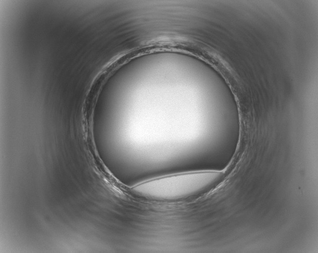 X0000070361018200606090754