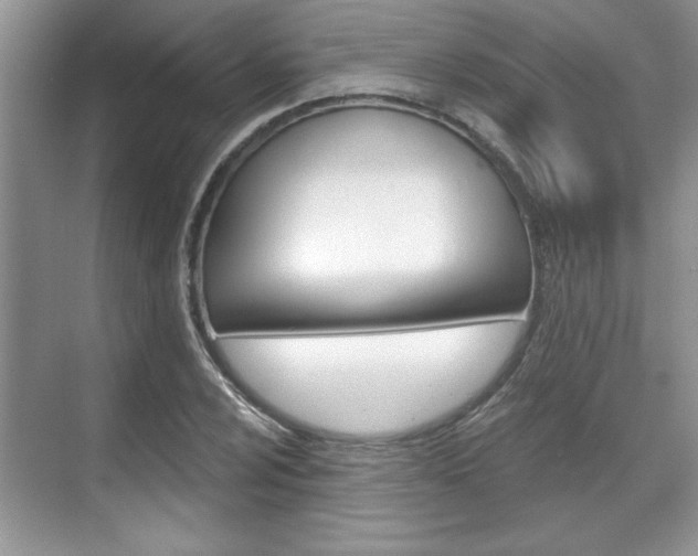X0000070361024200606090754