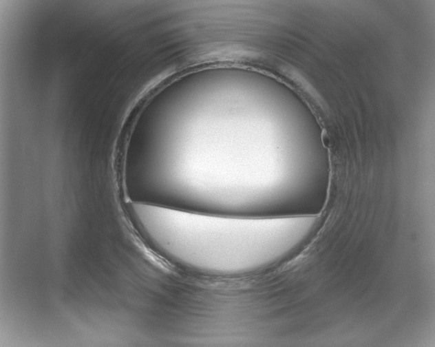 X0000070361026200606090754
