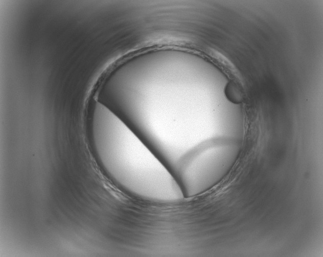 X0000070361027200606090754