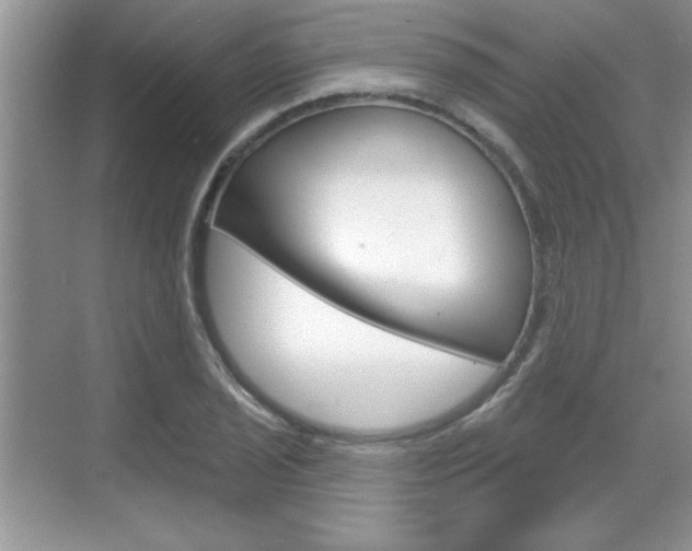 X0000070361029200606090754