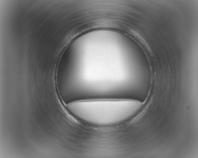 X0000070361033200606090754