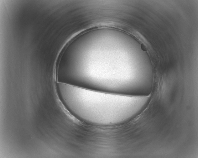X0000070361036200606090754