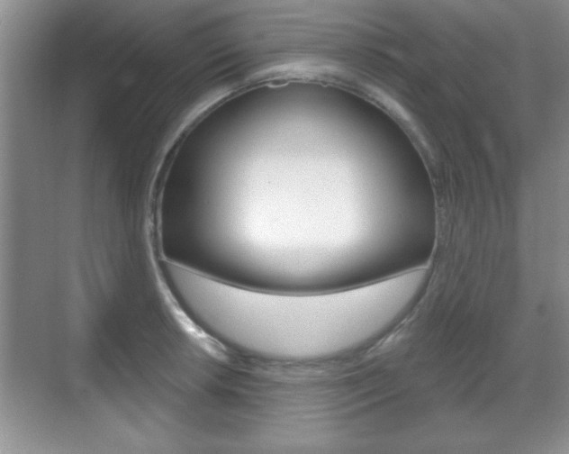 X0000070361042200606090755