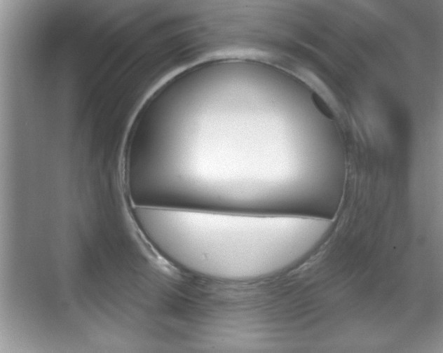 X0000070361044200606090755