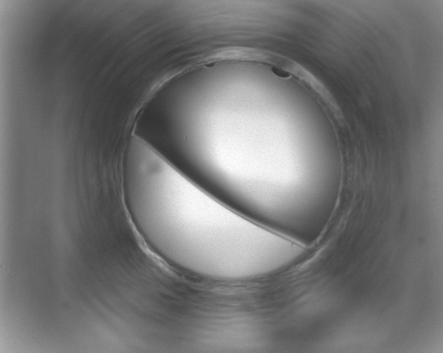 X0000070361049200606090755
