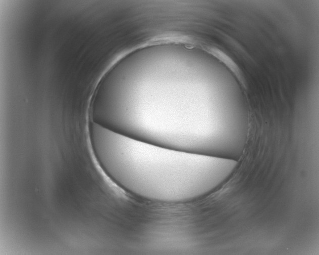 X0000070361055200606090755