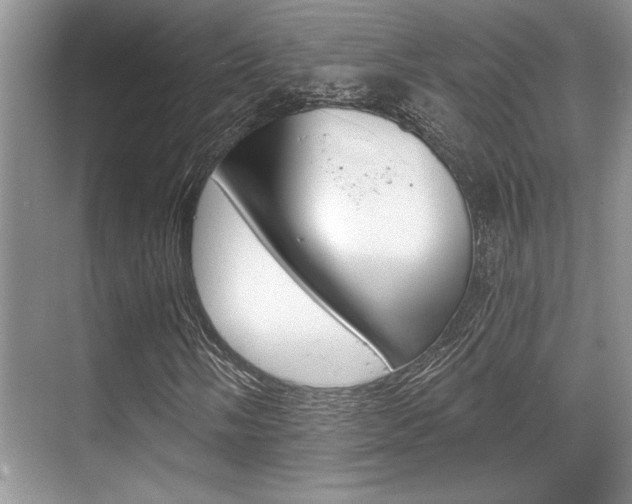X0000070361058200606090754