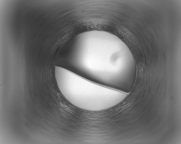 X0000070361060200606090754