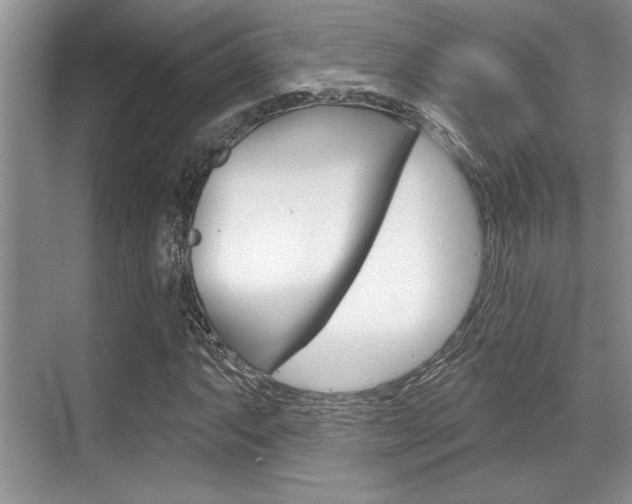 X0000070361063200606090754