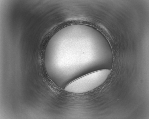 X0000070361064200606090754