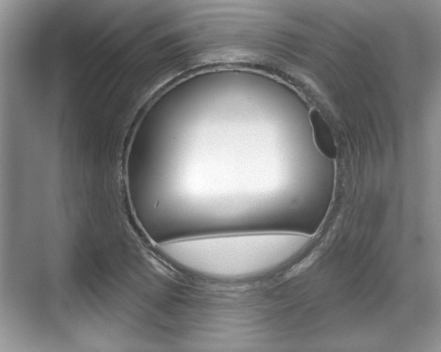 X0000070361073200606090754