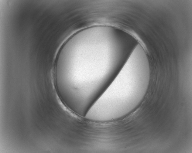 X0000070361100200606090753