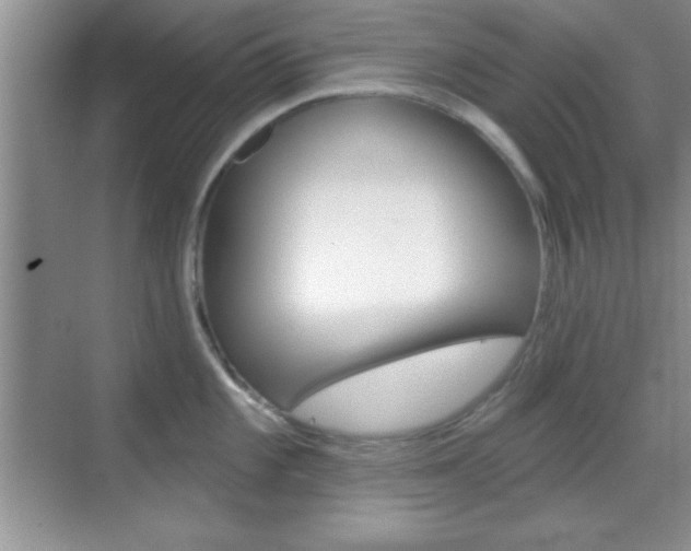 X0000070361101200606090753