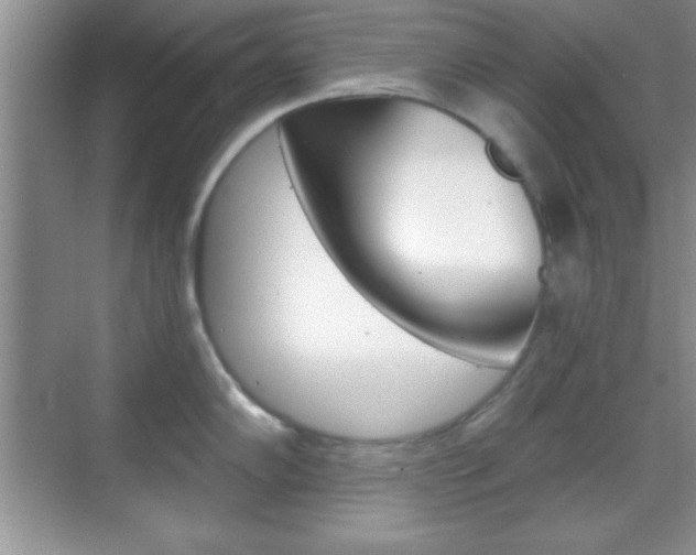 X0000070361102200606090753