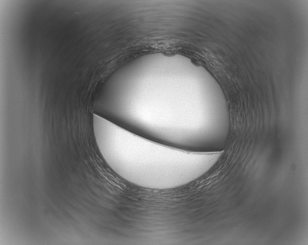 X0000070361106200606090752