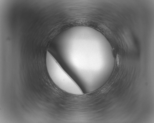 X0000070361107200606090752