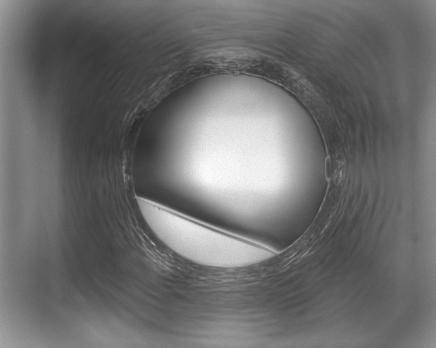 X0000070361108200606090752