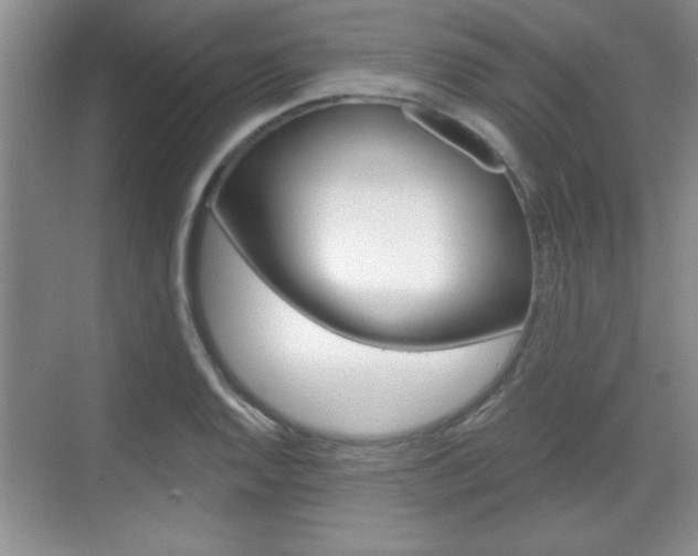 X0000070361128200606090753