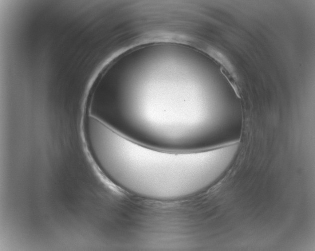 X0000070361136200606090753