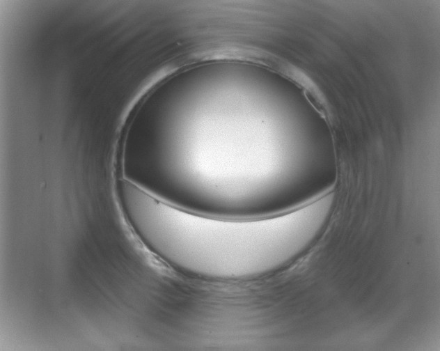 X0000070361138200606090753