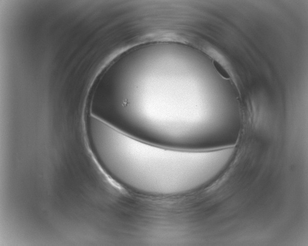 X0000070361141200606090753