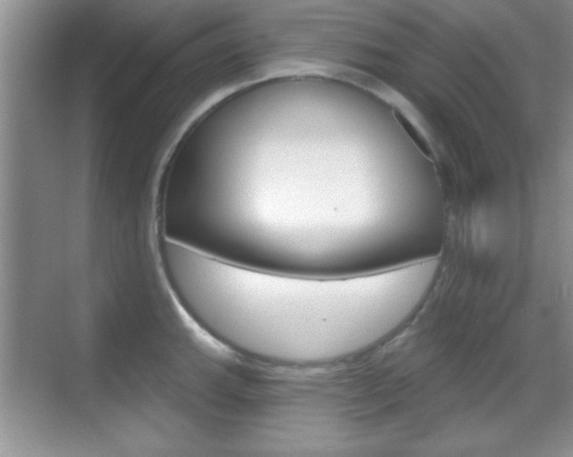 X0000070361143200606090753