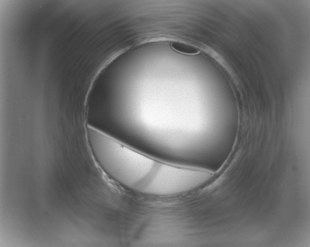 X0000070361145200606090753