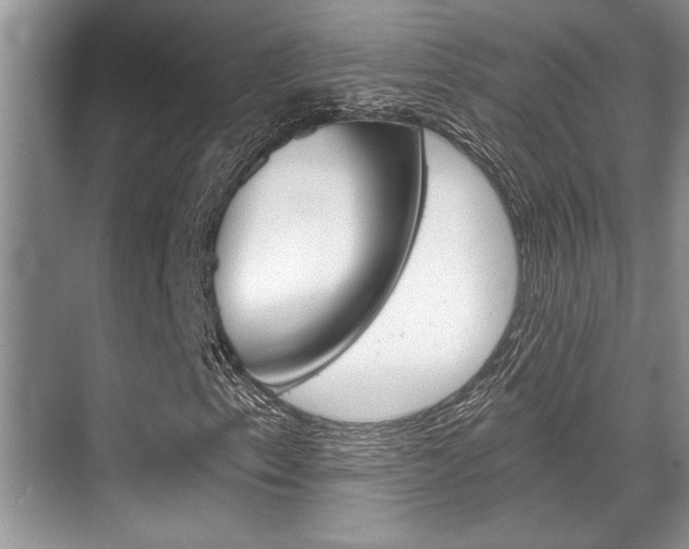 X0000070361153200606090752
