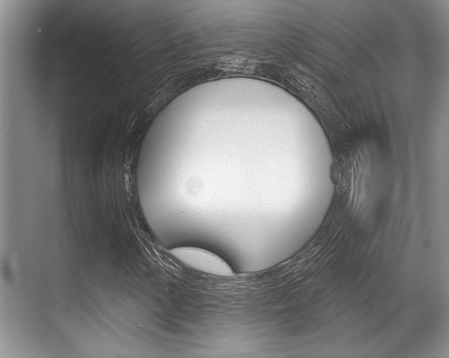 X0000070361154200606090752