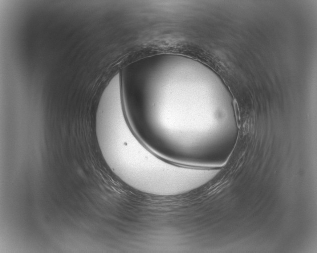 X0000070361156200606090752