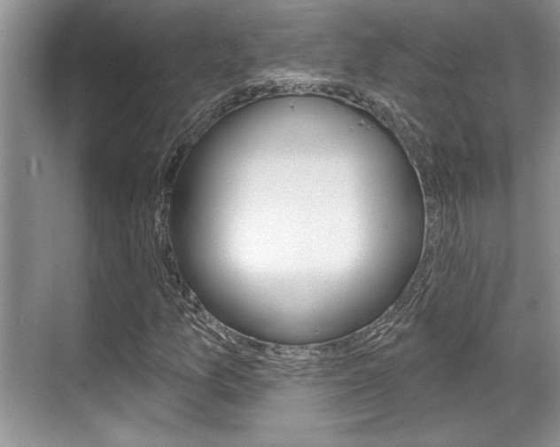 X0000070361157200606090752