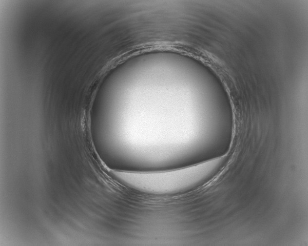 X0000070361161200606090752