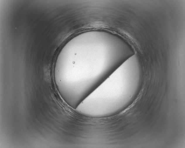 X0000070361162200606090752