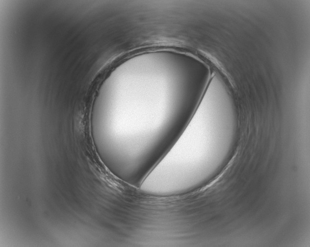 X0000070361163200606090752