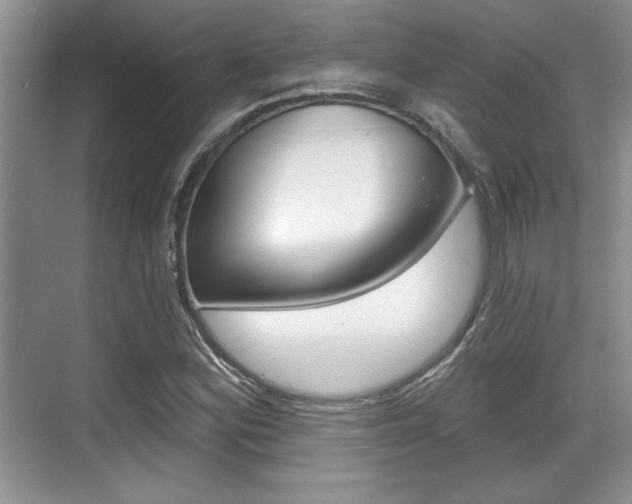 X0000070361164200606090752