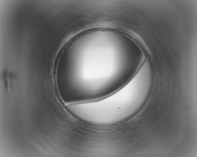X0000070361176200606090752