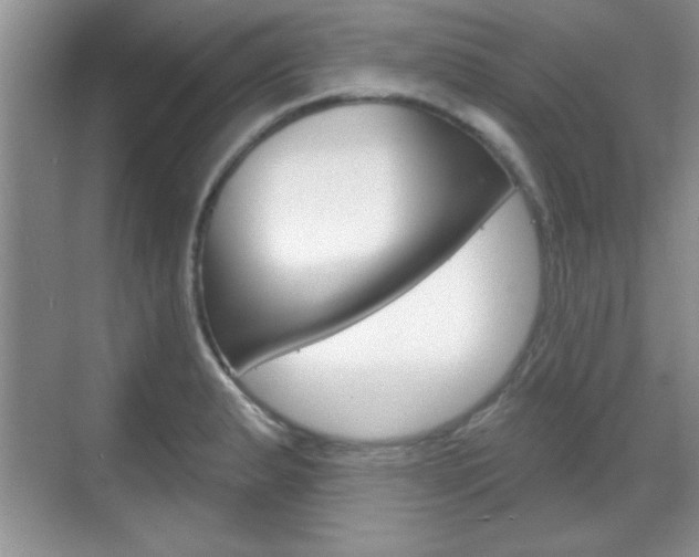 X0000070361183200606090752