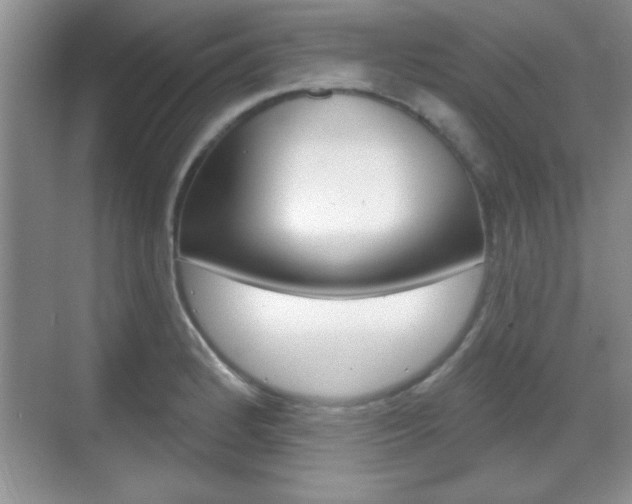 X0000070361184200606090752
