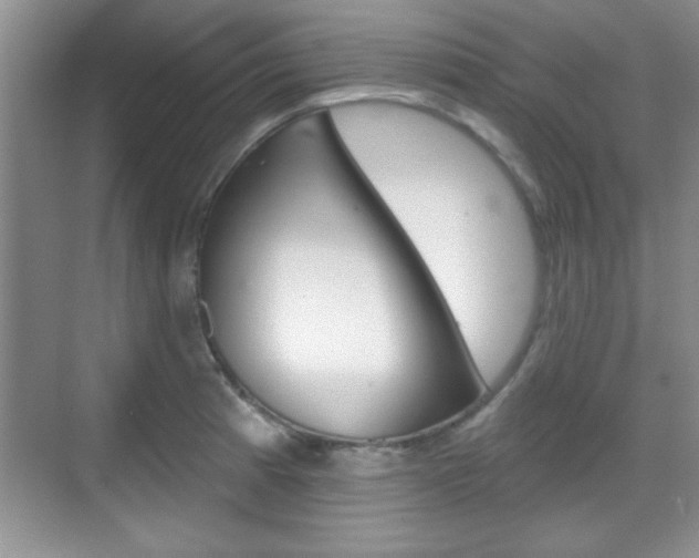 X0000070361185200606090752