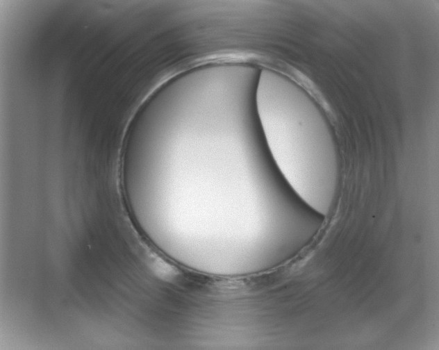 X0000070361186200606090752