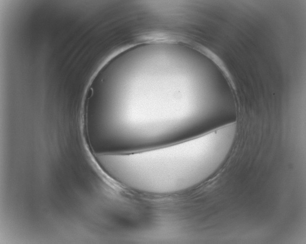 X0000070361195200606090752