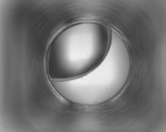 X0000070361196200606090752
