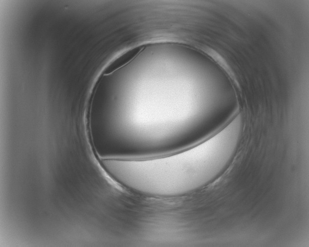 X0000070361197200606090752