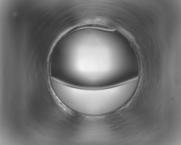 X0000070361200200606090752